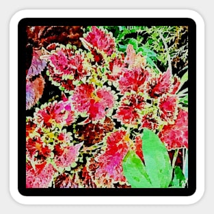 Red leaves Sticker